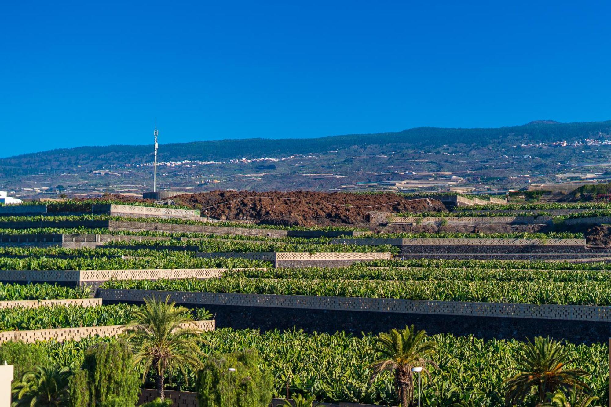 Green House - Modern Villa In Tenerife, Spain ギア・デ・イソラ エクステリア 写真